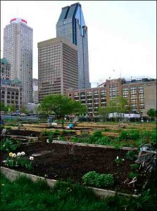 Urbane Landwirtschaft